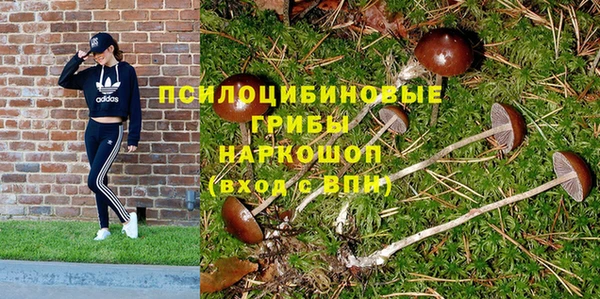 jwh Абаза
